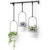 Umbra Triflora Hanging Planter for Window, Indoor Herb Garden, Set of 3, White/Black(White/Black)