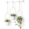 Umbra Triflora Hanging Planter for Window, Indoor Herb Garden, Set of 3, White/Brass(White/Brass)