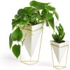 Umbra Trigg Desktop Planter Vase & Geometric Container-for Succulent, Air, Mini Cactus, Faux Plants and More, Desk, White/Brass