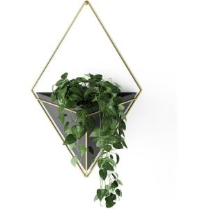 Umbra Trigg Hanging Planter Vase Wall Decor, Pot and Container for Succulents, Cactus, Faux Plants, and More, Large, Grey/Copper(Black/Brass)