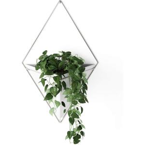 Umbra Trigg Hanging Planter Vase Wall Decor, Pot and Container for Succulents, Cactus, Faux Plants, and More, Large, Grey/Copper(White/Nickel)