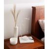 Umbra Orchid Jewelry Hanging Tree Stand – Multi-Functional Necklace Metal Holder Display Organizer Rack With a Ring Dish Tray – Great For Organization – Can Be Used As Decor, Dining Room Centerpiece(White)