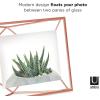 Umbra Prisma 4×6 Picture Frame, Metal Floating Wall or Desk Photo Display for Pictures, Art, Illustrations, and More, Copper