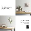 Umbra Prisma 4×6 Picture Frame, Metal Floating Wall or Desk Photo Display for Pictures, Art, Illustrations, and More, Copper
