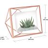 Umbra Prisma 4×6 Picture Frame, Metal Floating Wall or Desk Photo Display for Pictures, Art, Illustrations, and More, Copper