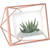 Umbra Prisma 4×6 Picture Frame, Metal Floating Wall or Desk Photo Display for Pictures, Art, Illustrations, and More, Copper