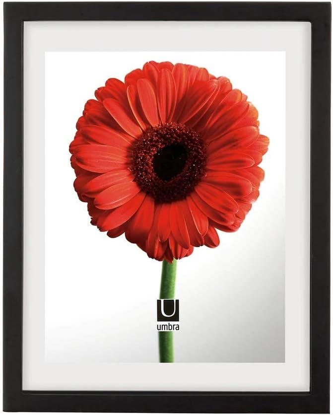 image:imageUmbra Document Frame 13x16 inch Modern Picture Frame Designed to Display a Floating 11x14 Document Diploma Certificate Photo or Artwork Black