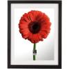 Umbra Document Frame 13×16 inch Modern Picture Frame Designed to Display a Floating 11×14 Document, Diploma, Certificate, Photo or Artwork (Black)