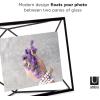 Umbra Prisma 4×6 Picture Frame, Metal Floating Wall or Desk Photo Display for Pictures, Art, Illustrations, and More, Black