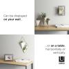 Umbra Prisma 4×6 Picture Frame, Metal Floating Wall or Desk Photo Display for Pictures, Art, Illustrations, and More, Black