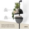 Umbra Solis Metal Display Shelf with 4 Adjustable Shelves, Sand(Black)