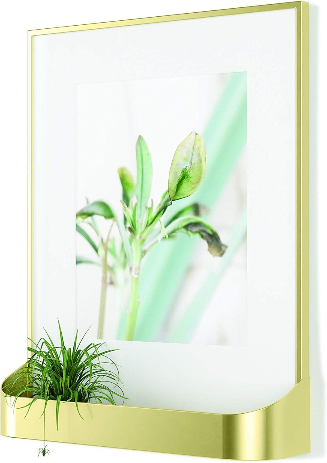 image:imageUmbra Matinee Picture Frame Matte Brass