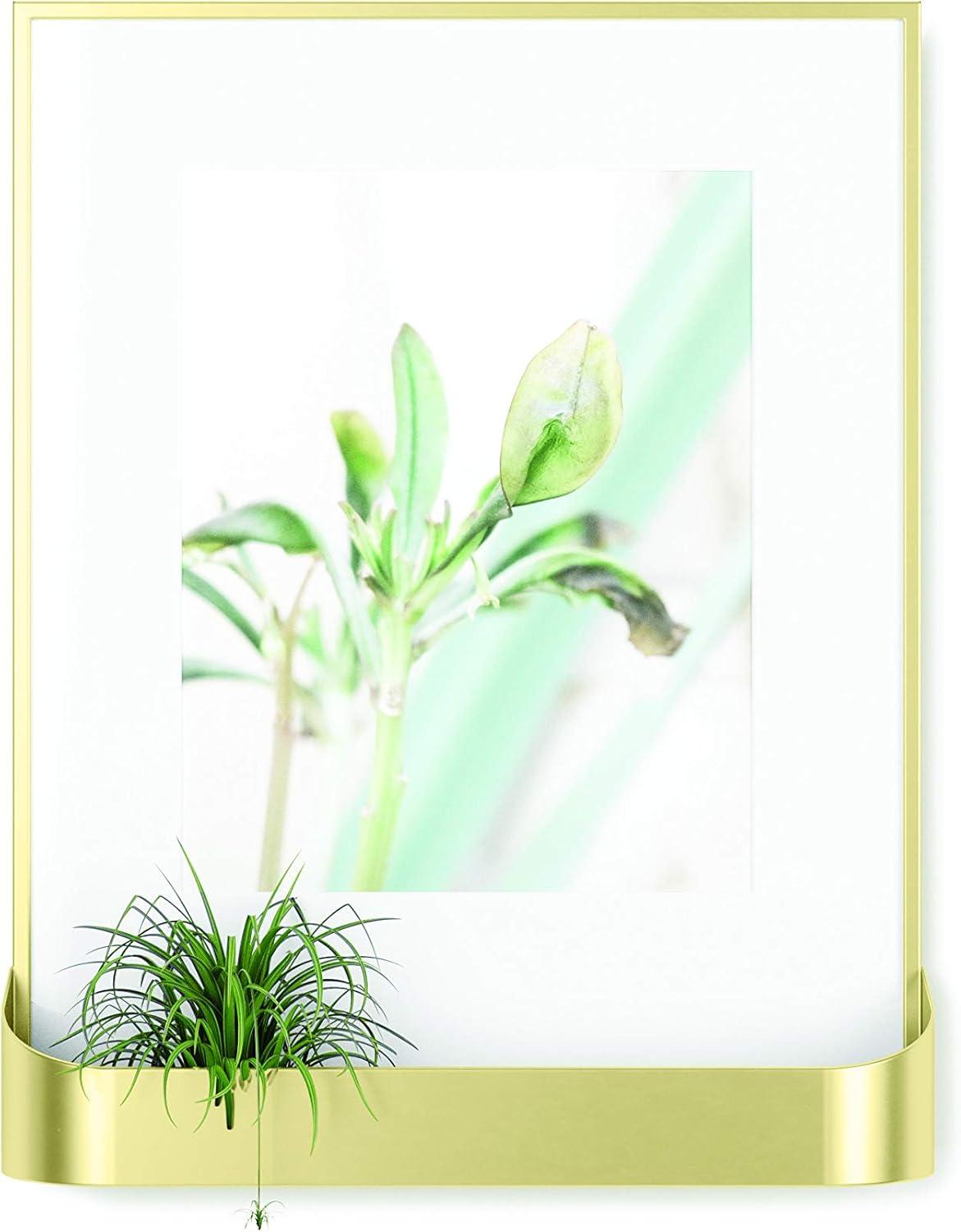 image:imageUmbra Matinee Picture Frame Matte Brass