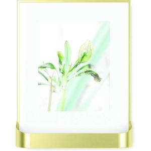 Umbra Matinee Picture Frame, Matte Brass