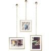 Umbra, Chrome Fotochain, 4×4 and 4×6 Picture Frame and Wall Decor Set for Photos(Brass)